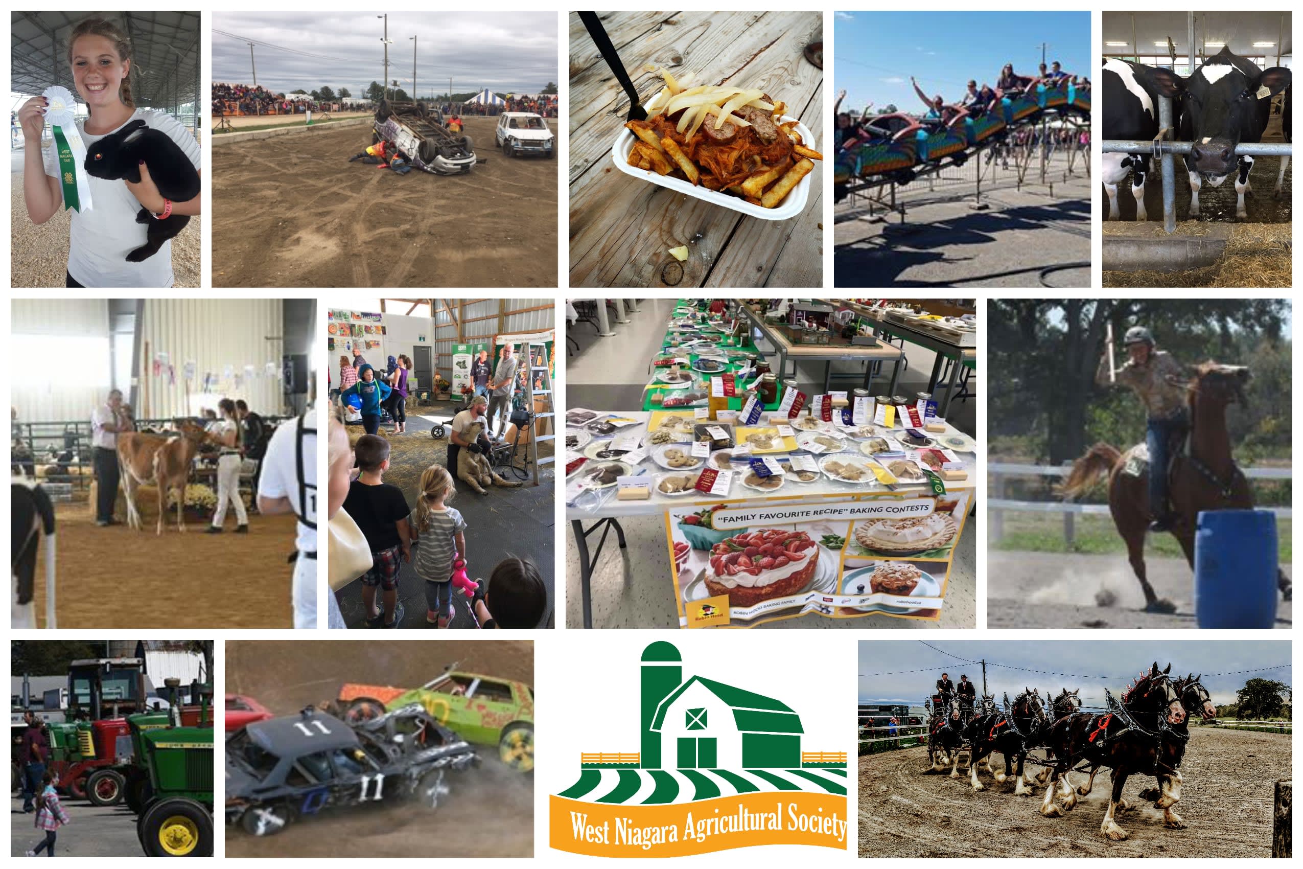 Fair collage